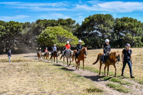 Narnu  Farm (Farm Stay/ School Camp) - Hotel NSW 2