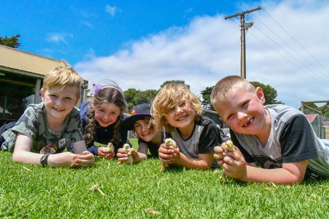 Narnu  Farm (Farm Stay/ School Camp) - Hotel NSW 7