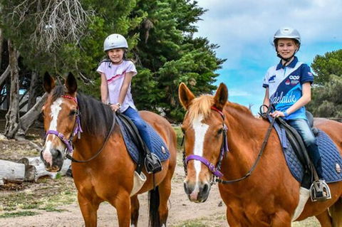 Narnu  Farm (Farm Stay/ School Camp) - Hotel NSW 9