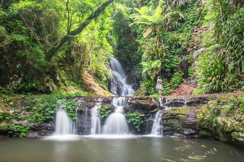 O'Reilly's Rainforest Retreat - Hotel NSW 0