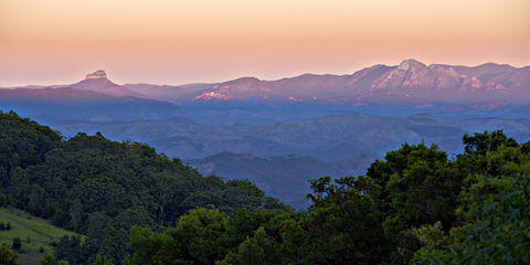 O'Reilly's Rainforest Retreat - Hotel NSW 1