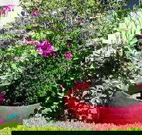 Armidale Pines Motel