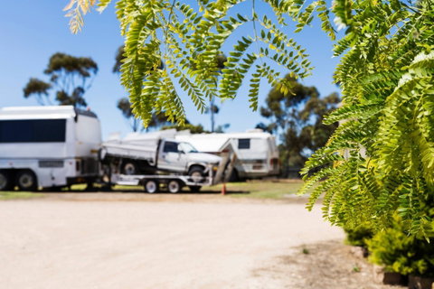 Cummins Caravan & Cabin Park - Hotel NSW 1