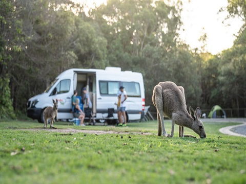 Diamond Head Campground - Hotel NSW 3