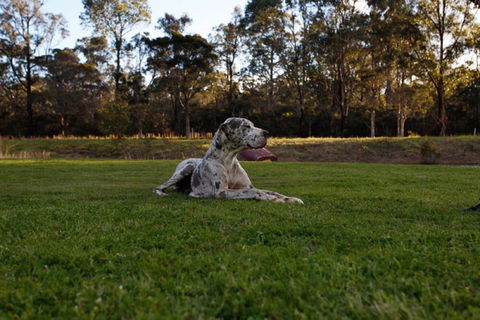 Hunter Valley Retreat - Hotel NSW 0