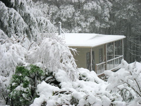 Lyrebird Cottages - Hotel NSW 2