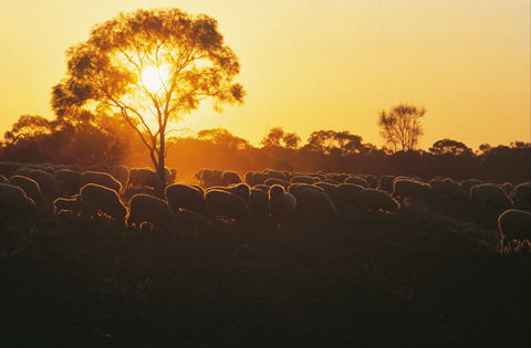 Clandulla Cottages & Farmstay - Hotel NSW 0