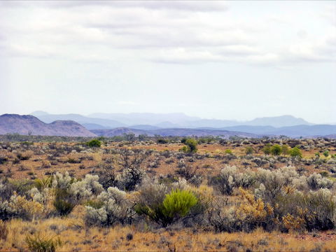 Nudlamutana Hut - Hotel NSW 1