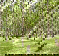 Nymboida River campground - Hotel NSW