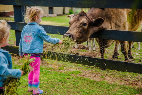 Tobruk Sydney Farm Stay - Hotel NSW 2