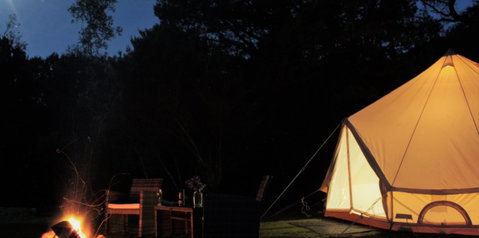 Zeehan Bush Camp - Hotel NSW 1
