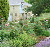 Godolphin Country Accommodation - Hotel NSW