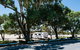 Haslam Campground - thumb 2