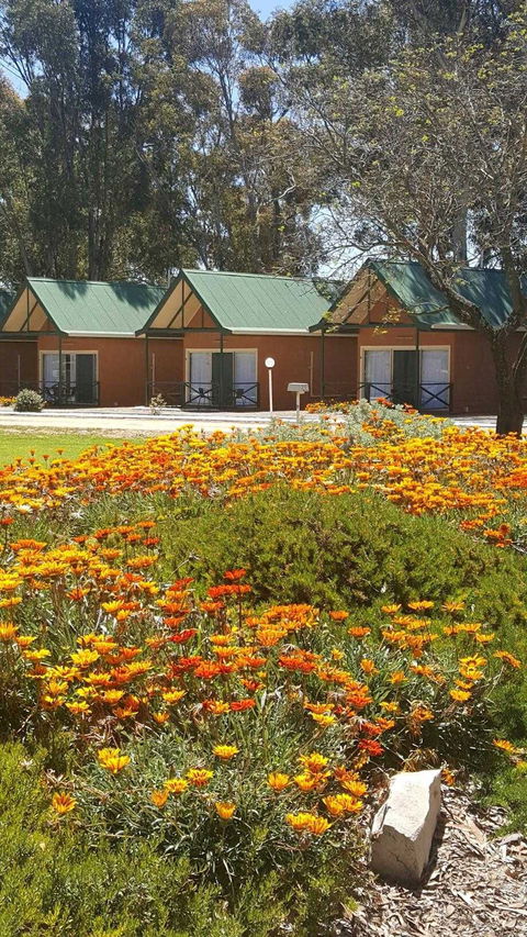 Jamestown Country Retreat Caravan Park - Hotel NSW 1