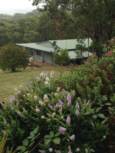 Southern Anchorage Retreat - Hotel NSW 1