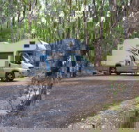 Wollomombi campground