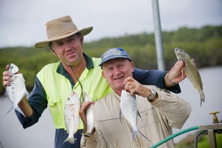 Terrace Reserve Holiday Park - Hotel NSW 1