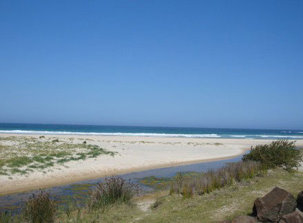 Racecourse Beach Tourist Park - Hotel NSW 2