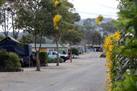 Albury All Seasons Tourist Park - Hotel NSW 0