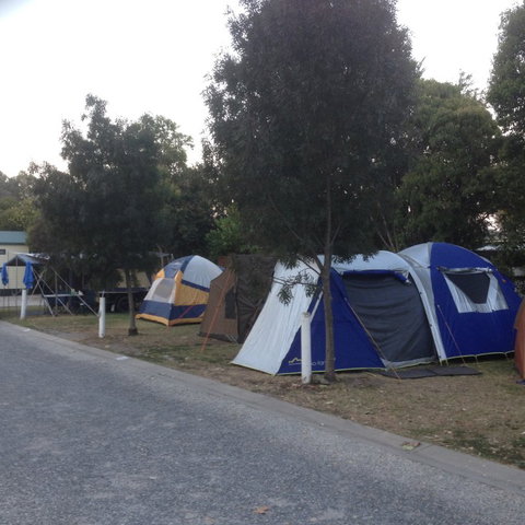 Albury All Seasons Tourist Park - Hotel NSW 9