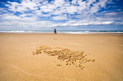 BIG4 Nambucca Beach Holiday Park - Hotel NSW 1