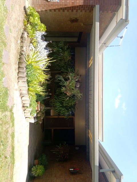 Hilltop Escape B&B - Hotel NSW 0