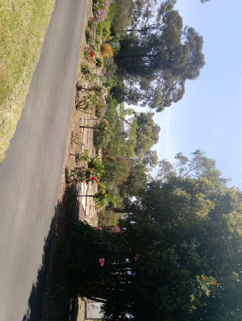 Hilltop Escape B&B - Hotel NSW 1
