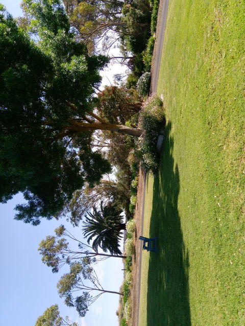 Hilltop Escape B&B - Hotel NSW 2
