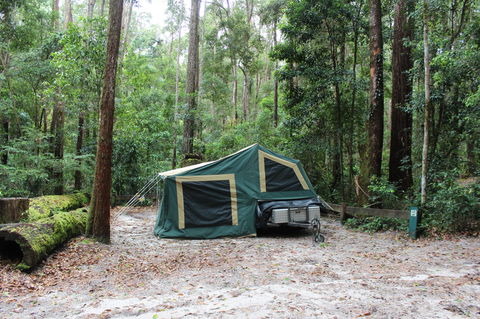 K'gari (Fraser Island) Camping, Great Sandy National Park - Hotel NSW 2