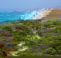 Twelve Apostles Lodge Walk