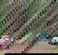 Wallingat River campground - Hotel NSW