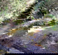 Wheeny Creek campground