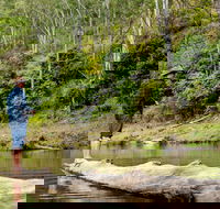 Bass Lodge - Hotel NSW