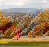 City Centre Motor Inn - Hotel NSW