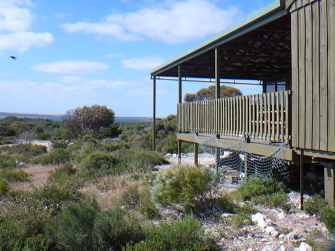 Melaleuca - Eco And Pet Friendly,  Harbor Point Cabins - Hotel NSW 1