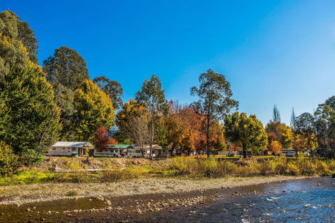 Porepunkah Bridge Holiday Park - Hotel NSW 1