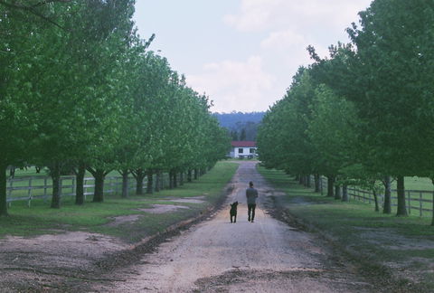 The Oaks Ranch And Country Club - Hotel NSW 1