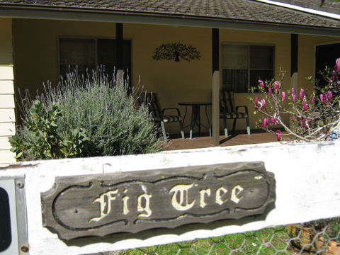 Figtree Cottage - Hotel NSW 0