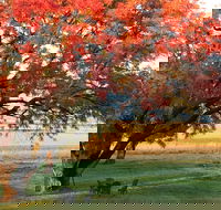 Little Kickabell Country Homestead - Hotel NSW