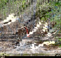 Rakhi Retreat - Hotel NSW