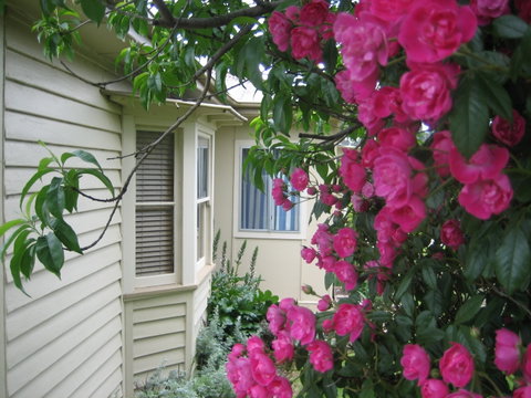 Valley Views Bed And Breakfast - Hotel NSW 0