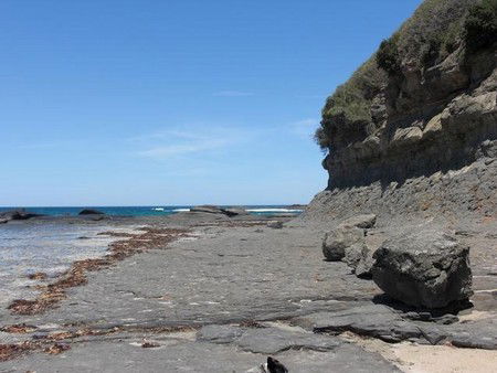 Dolphins Point Tourist Park - Hotel NSW 4