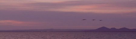 Pelican Sands Bed And Breakfast - Hotel NSW 0