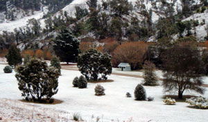 Omeo Caravan Park - Hotel NSW 1