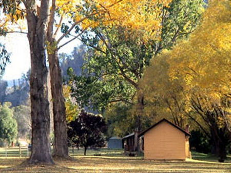 Omeo Caravan Park - Hotel NSW 4
