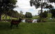 Gracefield Cottage - thumb 4