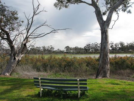 Murtoa Caravan Park - Hotel NSW 5