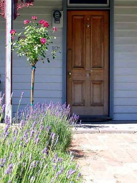 Airleigh - Rose Cottage - Hotel NSW 2