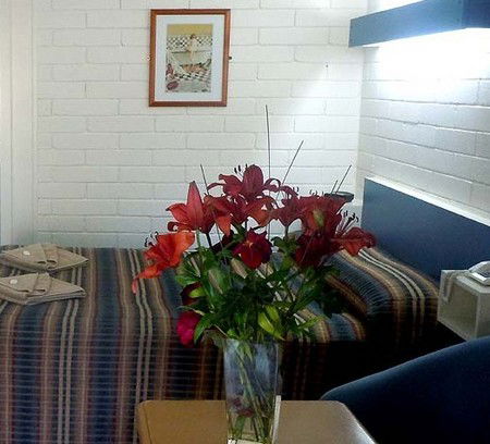 Central Highlands Motor Inn - Hotel NSW 2
