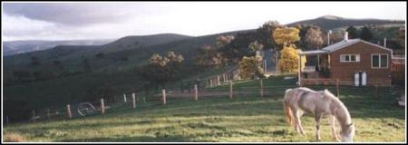 Idlewild Park Farm Accommodation - Hotel NSW 1